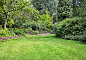 Optimiser l'expérience du jardin à Plainfaing